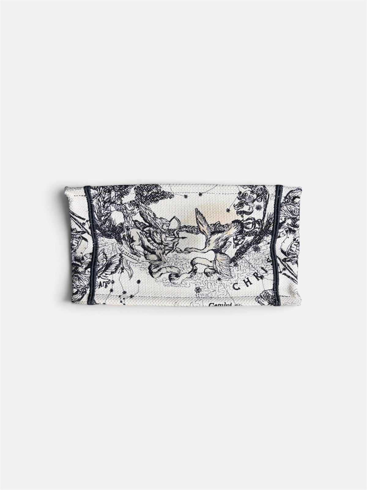 Last Season Christian Dior Book Tote in white canvas with intricate black celestial and mythological embroidery.